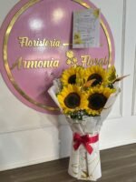 Caja con rosas, caja de flores, flores y licor, floristerias en bello, floristerias a domicilio en medellin, floristerias en bello, floristerias en belen, floristerias antioquia, floristeria copacabana, floristeria girardota, anchetas a domicilio, anchetas con dulces, anchetas con licor y dulces, ancheta con flores, anchetas con flores a domicilio, anchetas light, ramos para el dia de la madre, ramos para el dia del padre, ramos para el dia de los enamorados, regalo para enamorar, regalo de aniversario, ramo de flores de aniversario, ramillete de rosas, ramillete de girasoles, ramillete de lirios, lirios, rosas, girasoles, ramos funebres, floristeria funebre, ramos de condolencias, ramos de rosas y flores exoticasCaja con rosas, caja de flores, flores y licor, floristerias en bello, floristerias a domicilio en medellin, floristerias en bello, floristerias en belen, floristerias antioquia, floristeria copacabana, floristeria girardota, anchetas a domicilio, anchetas con dulces, anchetas con licor y dulces, ancheta con flores, anchetas con flores a domicilio, anchetas light, ramos para el dia de la madre, ramos para el dia del padre, ramos para el dia de los enamorados, regalo para enamorar, regalo de aniversario, ramo de flores de aniversario, ramillete de rosas, ramillete de girasoles, ramillete de lirios, lirios, rosas, girasoles, ramos funebres, floristeria funebre, ramos de condolencias, ramos de rosas y flores exoticas