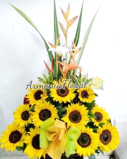 floristerias en bello, flores medellin, floristerias a domicilio, floristeria en copacabana, floristeria en bello, floristeria en niquia, floristerias en envigado, floristeria en itagui, floristeria en sabaneta, floristeria en caldas,floristeria en la estrella, floristeriasan antonio de prado, floristeria 24 horas, floristeria en el centro, floristeria en laureles, floristeria en robledo, floristeria en el poblado, floristerias en laureles, cajas decoradas, arreglos florales, arreglos funebres, ramos funebres, ramos para condolencias, arreglos para condolencias, funebres medellin, ramos para cumpleaños, ramos para nacimiento, ramos para enamorar, ramos para grados, ramos para aniversario, arreglos para aniversario, floristerias al por mayor, fresas con chocolate, coronas funebres, coronas medellin, coronas para condolencia, ramos enconomicos medellin, funebres bello, ramos funebres en bello, funebres en envigado, funebres en sabaneta, funebres en la estrella, floristerias por campoz de paz, floristerias cerca villanueva, floristerias por villanueva, floristerias por juan del corral, funebres caldas, funebres bello, funebres por la 80, floristerias por la 80, floristerias en belen, floristerias por la mota, floristerias en belen rosales, floristerias por el parque de belen, ramilletes medellin, rosas al por mayor medellin,floristerias en medellin, flores medellin, floristerias a domicilio