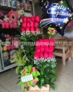 floristerias en bello, flores medellin, floristerias a domicilio, floristeria en copacabana, floristeria en bello, floristeria en niquia, floristerias en envigado, floristeria en itagui, floristeria en sabaneta, floristeria en caldas,floristeria en la estrella, floristeriasan antonio de prado, floristeria 24 horas, floristeria en el centro, floristeria en laureles, floristeria en robledo, floristeria en el poblado, floristerias en laureles, cajas decoradas, arreglos florales, arreglos funebres, ramos funebres, ramos para condolencias, arreglos para condolencias, funebres medellin, ramos para cumpleaños, ramos para nacimiento, ramos para enamorar, ramos para grados, ramos para aniversario, arreglos para aniversario, floristerias al por mayor, fresas con chocolate, coronas funebres, coronas medellin, coronas para condolencia, ramos enconomicos medellin, funebres bello, ramos funebres en bello, funebres en envigado, funebres en sabaneta, funebres en la estrella, floristerias por campoz de paz, floristerias cerca