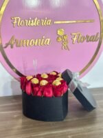 Caja con rosas, caja de flores, flores y licor, floristerias en bello, floristerias a domicilio en medellin, floristerias en bello, floristerias en belen, floristerias antioquia, floristeria copacabana, floristeria girardota, anchetas a domicilio, anchetas con dulces, anchetas con licor y dulces, ancheta con flores, anchetas con flores a domicilio, anchetas light, ramos para el dia de la madre, ramos para el dia del padre, ramos para el dia de los enamorados, regalo para enamorar, regalo de aniversario, ramo de flores de aniversario, ramillete de rosas, ramillete de girasoles, ramillete de lirios, lirios, rosas, girasoles, ramos funebres, floristeria funebre, ramos de condolencias, ramos de rosas y flores exoticasCaja con rosas, caja de flores, flores y licor, floristerias en bello, floristerias a domicilio en medellin, floristerias en bello, floristerias en belen, floristerias antioquia, floristeria copacabana, floristeria girardota, anchetas a domicilio, anchetas con dulces, anchetas con licor y dulces, ancheta con flores, anchetas con flores a domicilio, anchetas light, ramos para el dia de la madre, ramos para el dia del padre, ramos para el dia de los enamorados, regalo para enamorar, regalo de aniversario, ramo de flores de aniversario, ramillete de rosas, ramillete de girasoles, ramillete de lirios, lirios, rosas, girasoles, ramos funebres, floristeria funebre, ramos de condolencias, ramos de rosas y flores exoticas