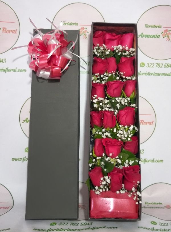 floristerias en bello, flores medellin, floristerias a domicilio, floristeria en copacabana, floristeria en bello, floristeria en niquia, floristerias en envigado, floristeria en itagui, floristeria en sabaneta, floristeria en caldas,floristeria en la estrella, floristeriasan antonio de prado, floristeria 24 horas, floristeria en el centro, floristeria en laureles, floristeria en robledo, floristeria en el poblado, floristerias en laureles, cajas decoradas, arreglos florales, arreglos funebres, ramos funebres, ramos para condolencias, arreglos para condolencias, funebres medellin, ramos para cumpleaños, ramos para nacimiento, ramos para enamorar, ramos para grados, ramos para aniversario, arreglos para aniversario, floristerias al por mayor, fresas con chocolate, coronas funebres, coronas medellin, coronas para condolencia, ramos enconomicos medellin, funebres bello, ramos funebres en bello, funebres en envigado, funebres en sabaneta, funebres en la estrella, floristerias por campoz de paz, floristerias cerca villanueva, floristerias por villanueva, floristerias por juan del corral, funebres caldas, funebres bello, funebres por la 80, floristerias por la 80, floristerias en belen, floristerias por la mota, floristerias en belen rosales, floristerias por el parque de belen, ramilletes medellin, rosas al por mayor medellin,floristerias en medellin, flores medellin, floristerias a domicilio