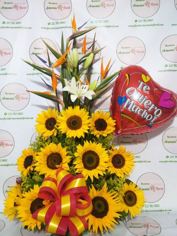 floristerias en bello, flores medellin, floristerias a domicilio, floristeria en copacabana, floristeria en bello, floristeria en niquia, floristerias en envigado, floristeria en itagui, floristeria en sabaneta, floristeria en caldas,floristeria en la estrella, floristeriasan antonio de prado, floristeria 24 horas, floristeria en el centro, floristeria en laureles, floristeria en robledo, floristeria en el poblado, floristerias en laureles, cajas decoradas, arreglos florales, arreglos funebres, ramos funebres, ramos para condolencias, arreglos para condolencias, funebres medellin, ramos para cumpleaños, ramos para nacimiento, ramos para enamorar, ramos para grados, ramos para aniversario, arreglos para aniversario, floristerias al por mayor, fresas con chocolate, coronas funebres, coronas medellin, coronas para condolencia, ramos enconomicos medellin, funebres bello, ramos funebres en bello, funebres en envigado, funebres en sabaneta, funebres en la estrella, floristerias por campoz de paz, floristerias cerca villanueva, floristerias por villanueva, floristerias por juan del corral, funebres caldas, funebres bello, funebres por la 80, floristerias por la 80, floristerias en belen, floristerias por la mota, floristerias en belen rosales, floristerias por el parque de belen, ramilletes medellin, rosas al por mayor medellin,floristerias en medellin, flores medellin, floristerias a domicilio