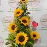 floristerias en bello, flores medellin, floristerias a domicilio, floristeria en copacabana, floristeria en bello, floristeria en niquia, floristerias en envigado, floristeria en itagui, floristeria en sabaneta, floristeria en caldas,floristeria en la estrella, floristeriasan antonio de prado, floristeria 24 horas, floristeria en el centro, floristeria en laureles, floristeria en robledo, floristeria en el poblado, floristerias en laureles, cajas decoradas, arreglos florales, arreglos funebres, ramos funebres, ramos para condolencias, arreglos para condolencias, funebres medellin, ramos para cumpleaños, ramos para nacimiento, ramos para enamorar, ramos para grados, ramos para aniversario, arreglos para aniversario, floristerias al por mayor, fresas con chocolate, coronas funebres, coronas medellin, coronas para condolencia, ramos enconomicos medellin, funebres bello, ramos funebres en bello, funebres en envigado, funebres en sabaneta, funebres en la estrella, floristerias por campoz de paz, floristerias cerca