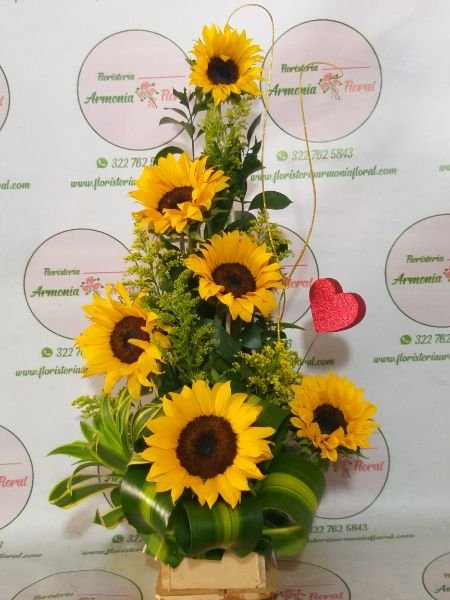 floristerias en bello, flores medellin, floristerias a domicilio, floristeria en copacabana, floristeria en bello, floristeria en niquia, floristerias en envigado, floristeria en itagui, floristeria en sabaneta, floristeria en caldas,floristeria en la estrella, floristeriasan antonio de prado, floristeria 24 horas, floristeria en el centro, floristeria en laureles, floristeria en robledo, floristeria en el poblado, floristerias en laureles, cajas decoradas, arreglos florales, arreglos funebres, ramos funebres, ramos para condolencias, arreglos para condolencias, funebres medellin, ramos para cumpleaños, ramos para nacimiento, ramos para enamorar, ramos para grados, ramos para aniversario, arreglos para aniversario, floristerias al por mayor, fresas con chocolate, coronas funebres, coronas medellin, coronas para condolencia, ramos enconomicos medellin, funebres bello, ramos funebres en bello, funebres en envigado, funebres en sabaneta, funebres en la estrella, floristerias por campoz de paz, floristerias cerca