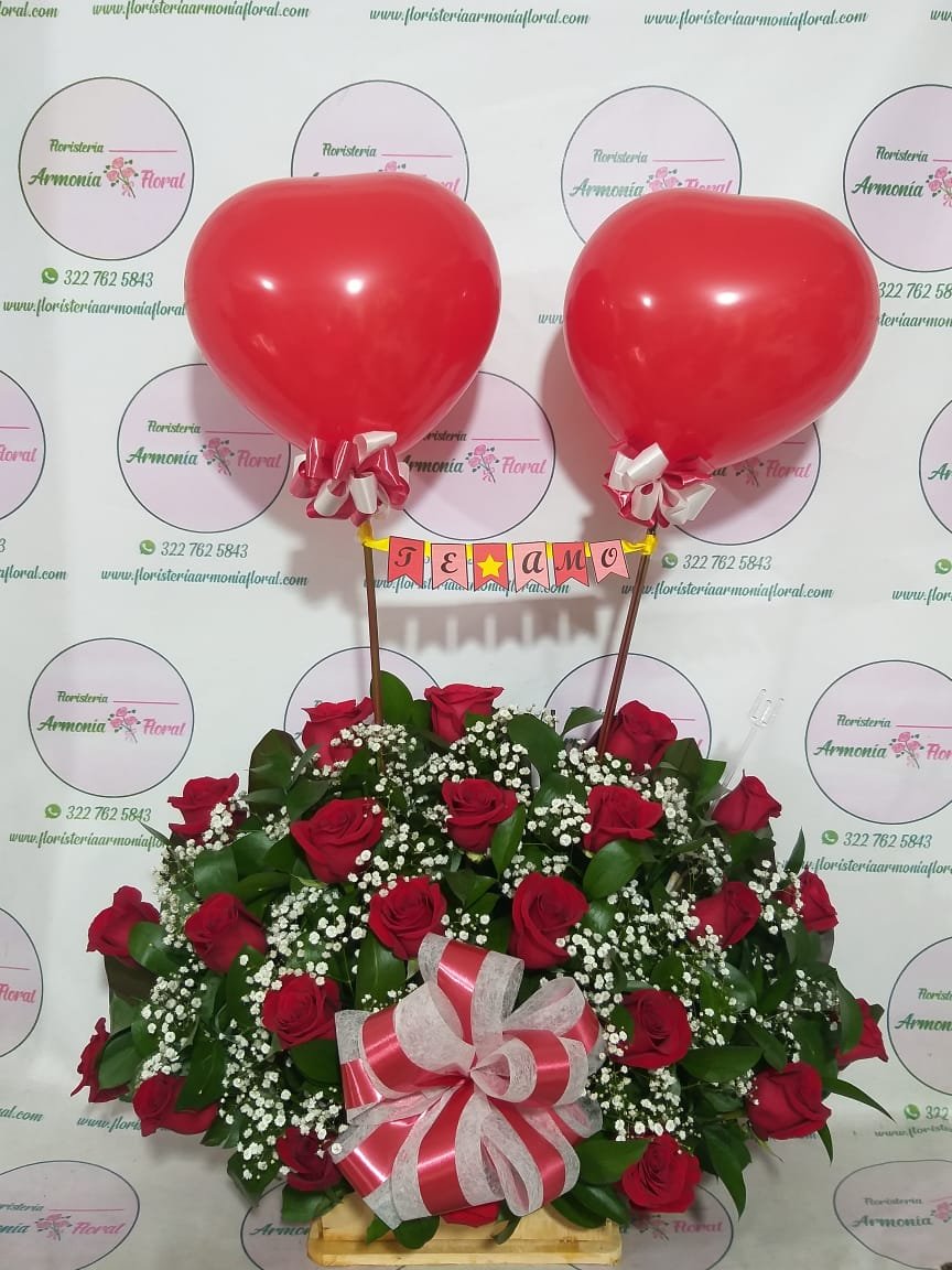 floristerias en bello, flores medellin, floristerias a domicilio, floristeria paraiso floral, floristeria en copacabana, floristeria en bello, floristeria en niquia, floristerias en envigado, floristeria en itagui, floristeria en sabaneta, floristeria en caldas, floristeria en la estrella, floristeria san antonio de prado, floristeria 24 horas, floristeria en el centro, floristeria en laureles, floristeria en robledo, floristeria en el poblado, floristerias en laureles, cajas decoradas, arreglos florales, arreglos funebres, ramos funebres, ramos para condolencias, arreglos para condolencias, funebres medellin, ramos para cumpleaños, ramos para nacimiento, ramos para enamorar, ramos para grados, ramos para aniversario, arreglos para aniversario, floristerias al por mayor, fresas con chocolate, floristeria paraiso floral, paraiso floral, coronas funebres, coronas medellin, coronas para condolencia, ramos enconomicos medellin, funebres bello, ramos funebres en bello, funebres en envigado, funebres e