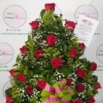 floristerias en bello, flores medellin, floristerias a domicilio, floristeria paraiso floral, floristeria en copacabana, floristeria en bello, floristeria en niquia, floristerias en envigado, floristeria en itagui, floristeria en sabaneta, floristeria en caldas, floristeria en la estrella, floristeria san antonio de prado, floristeria 24 horas, floristeria en el centro, floristeria en laureles, floristeria en robledo, floristeria en el poblado, floristerias en laureles, cajas decoradas, arreglos florales, arreglos funebres, ramos funebres, ramos para condolencias, arreglos para condolencias, funebres medellin, ramos para cumpleaños, ramos para nacimiento, ramos para enamorar, ramos para grados, ramos para aniversario, arreglos para aniversario, floristerias al por mayor, fresas con chocolate, floristeria paraiso floral, paraiso floral, coronas funebres, coronas medellin, coronas para condolencia, ramos enconomicos medellin, funebres bello, ramos funebres en bello, funebres en envigado, funebres e