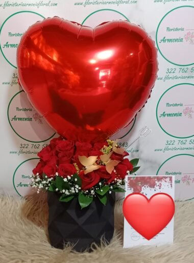 Caja con rosas, caja de flores, flores y licor, floristerias en bello, floristerias a domicilio en medellin, floristerias en bello, floristerias en belen, floristerias antioquia, floristeria copacabana, floristeria girardota, anchetas a domicilio, anchetas con dulces, anchetas con licor y dulces, ancheta con flores, anchetas con flores a domicilio, anchetas light, ramos para el dia de la madre, ramos para el dia del padre, ramos para el dia de los enamorados, regalo para enamorar, regalo de aniversario, ramo de flores de aniversario, ramillete de rosas, ramillete de girasoles, ramillete de lirios, lirios, rosas, girasoles, ramos funebres, floristeria funebre, ramos de condolencias, ramos de rosas y flores exoticasCaja con rosas, caja de flores, flores y licor, floristerias en bello, floristerias a domicilio en medellin, floristerias en bello, floristerias en belen, floristerias antioquia, floristeria copacabana, floristeria girardota, anchetas a domicilio, anchetas con dulces, anchetas con licor y dulces, ancheta con flores, anchetas con flores a domicilio, anchetas light, ramos para el dia de la madre, ramos para el dia del padre, ramos para el dia de los enamorados, regalo para enamorar, regalo de aniversario, ramo de flores de aniversario, ramillete de rosas, ramillete de girasoles, ramillete de lirios, lirios, rosas, girasoles, ramos funebres, floristeria funebre, ramos de condolencias, ramos de rosas y flores exoticas