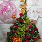Caja con rosas, caja de flores, flores y licor, floristerias en bello, floristerias a domicilio en medellin, floristerias en bello, floristerias en belen, floristerias antioquia, floristeria copacabana, floristeria girardota, anchetas a domicilio, anchetas con dulces, anchetas con licor y dulces, ancheta con flores, anchetas con flores a domicilio, anchetas light, ramos para el dia de la madre, ramos para el dia del padre, ramos para el dia de los enamorados, regalo para enamorar, regalo de aniversario, ramo de flores de aniversario, ramillete de rosas, ramillete de girasoles, ramillete de lirios, lirios, rosas, girasoles, ramos funebres, floristeria funebre, ramos de condolencias, ramos de rosas y flores exoticas