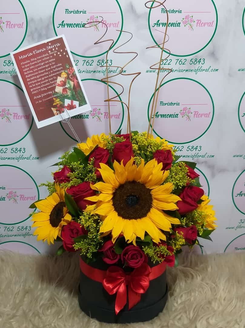 Caja con rosas, caja de flores, flores y licor, floristerias en bello, floristerias a domicilio en medellin, floristerias en bello, floristerias en belen, floristerias antioquia, floristeria copacabana, floristeria girardota, anchetas a domicilio, anchetas con dulces, anchetas con licor y dulces, ancheta con flores, anchetas con flores a domicilio, anchetas light, ramos para el dia de la madre, ramos para el dia del padre, ramos para el dia de los enamorados, regalo para enamorar, regalo de aniversario, ramo de flores de aniversario, ramillete de rosas, ramillete de girasoles, ramillete de lirios, lirios, rosas, girasoles, ramos funebres, floristeria funebre, ramos de condolencias, ramos de rosas y flores exoticas