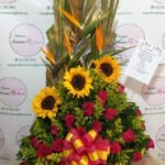 Caja con rosas, caja de flores, flores y licor, floristerias en bello, floristerias a domicilio en medellin, floristerias en bello, floristerias en belen, floristerias antioquia, floristeria copacabana, floristeria girardota, anchetas a domicilio, anchetas con dulces, anchetas con licor y dulces, ancheta con flores, anchetas con flores a domicilio, anchetas light, ramos para el dia de la madre, ramos para el dia del padre, ramos para el dia de los enamorados, regalo para enamorar, regalo de aniversario, ramo de flores de aniversario, ramillete de rosas, ramillete de girasoles, ramillete de lirios, lirios, rosas, girasoles, ramos funebres, floristeria funebre, ramos de condolencias, ramos de rosas y flores exoticasCaja con rosas, caja de flores, flores y licor, floristerias en bello, floristerias a domicilio en medellin, floristerias en bello, floristerias en belen, floristerias antioquia, floristeria copacabana, floristeria girardota, anchetas a domicilio, anchetas con dulces, anchetas con licor y dulces, ancheta con flores, anchetas con flores a domicilio, anchetas light, ramos para el dia de la madre, ramos para el dia del padre, ramos para el dia de los enamorados, regalo para enamorar, regalo de aniversario, ramo de flores de aniversario, ramillete de rosas, ramillete de girasoles, ramillete de lirios, lirios, rosas, girasoles, ramos funebres, floristeria funebre, ramos de condolencias, ramos de rosas y flores exoticas