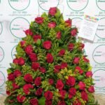 Caja con rosas, caja de flores, flores y licor, floristerias en bello, floristerias a domicilio en medellin, floristerias en bello, floristerias en belen, floristerias antioquia, floristeria copacabana, floristeria girardota, anchetas a domicilio, anchetas con dulces, anchetas con licor y dulces, ancheta con flores, anchetas con flores a domicilio, anchetas light, ramos para el dia de la madre, ramos para el dia del padre, ramos para el dia de los enamorados, regalo para enamorar, regalo de aniversario, ramo de flores de aniversario, ramillete de rosas, ramillete de girasoles, ramillete de lirios, lirios, rosas, girasoles, ramos funebres, floristeria funebre, ramos de condolencias, ramos de rosas y flores exoticasCaja con rosas, caja de flores, flores y licor, floristerias en bello, floristerias a domicilio en medellin, floristerias en bello, floristerias en belen, floristerias antioquia, floristeria copacabana, floristeria girardota, anchetas a domicilio, anchetas con dulces, anchetas con licor y dulces, ancheta con flores, anchetas con flores a domicilio, anchetas light, ramos para el dia de la madre, ramos para el dia del padre, ramos para el dia de los enamorados, regalo para enamorar, regalo de aniversario, ramo de flores de aniversario, ramillete de rosas, ramillete de girasoles, ramillete de lirios, lirios, rosas, girasoles, ramos funebres, floristeria funebre, ramos de condolencias, ramos de rosas y flores exoticas