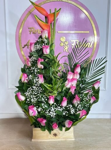 Caja con rosas, caja de flores, flores y licor, floristerias en bello, floristerias a domicilio en medellin, floristerias en bello, floristerias en belen, floristerias antioquia, floristeria copacabana, floristeria girardota, anchetas a domicilio, anchetas con dulces, anchetas con licor y dulces, ancheta con flores, anchetas con flores a domicilio, anchetas light, ramos para el dia de la madre, ramos para el dia del padre, ramos para el dia de los enamorados, regalo para enamorar, regalo de aniversario, ramo de flores de aniversario, ramillete de rosas, ramillete de girasoles, ramillete de lirios, lirios, rosas, girasoles, ramos funebres, floristeria funebre, ramos de condolencias, ramos de rosas y flores exoticasCaja con rosas, caja de flores, flores y licor, floristerias en bello, floristerias a domicilio en medellin, floristerias en bello, floristerias en belen, floristerias antioquia, floristeria copacabana, floristeria girardota, anchetas a domicilio, anchetas con dulces, anchetas con licor y dulces, ancheta con flores, anchetas con flores a domicilio, anchetas light, ramos para el dia de la madre, ramos para el dia del padre, ramos para el dia de los enamorados, regalo para enamorar, regalo de aniversario, ramo de flores de aniversario, ramillete de rosas, ramillete de girasoles, ramillete de lirios, lirios, rosas, girasoles, ramos funebres, floristeria funebre, ramos de condolencias, ramos de rosas y flores exoticas