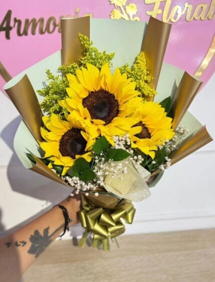 buchones de rosas, buchon con rosas medelllin, rosas en ramo buchon buchon medellin, bucho a domicilio bello antioquia, ramo buchon copacabana, ramos buchones para regalar